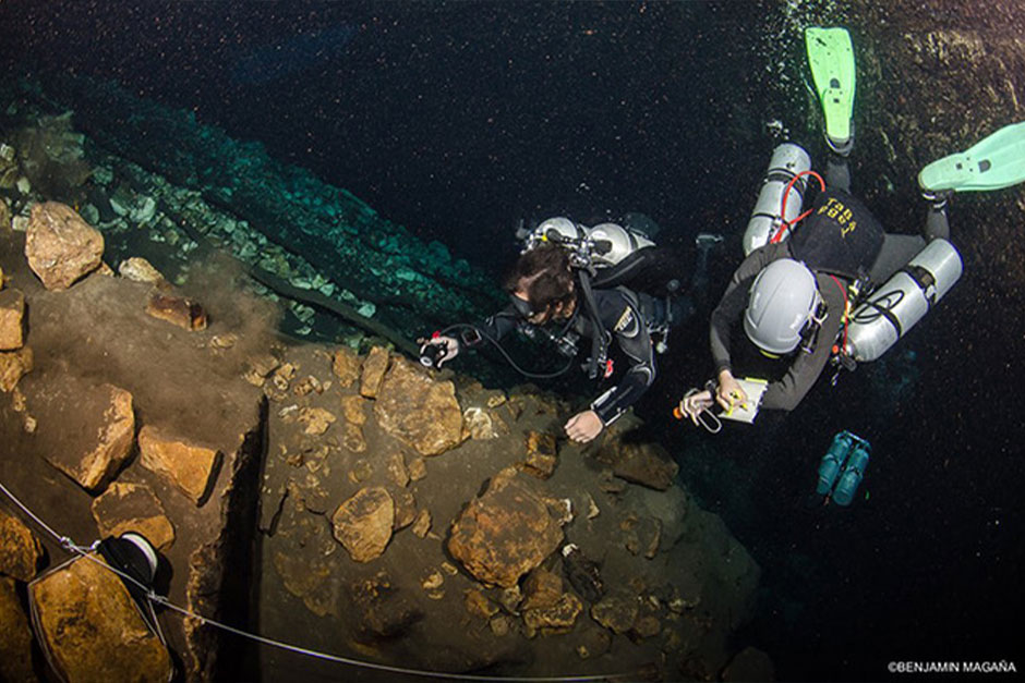 Estudia Sisal, comunidades microbianas y su potencial biotecnológico