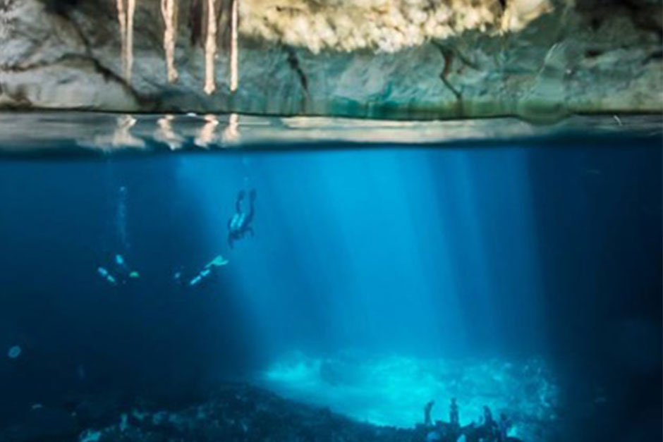 Estudia Sisal, comunidades microbianas y su potencial biotecnológico